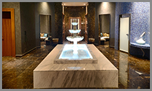 SPA / Ornamental Pool